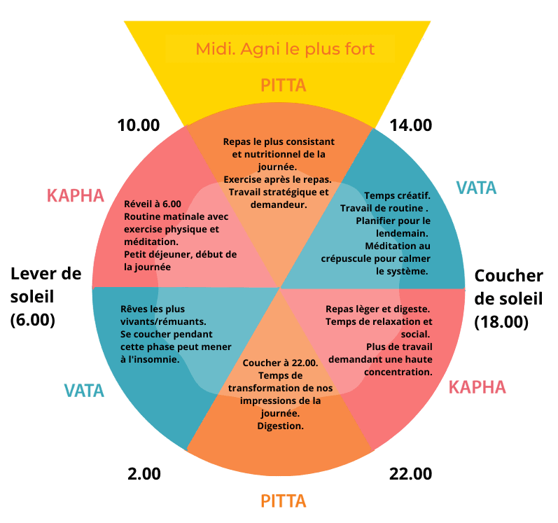 Doshas Ayurveda